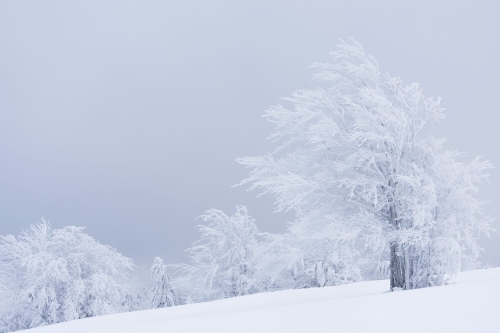 15-landscape-photography-winter-photography-vosges-france